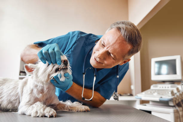 Best Emergency Treatment for Dental Infections or Abscesses in Keizer, OR